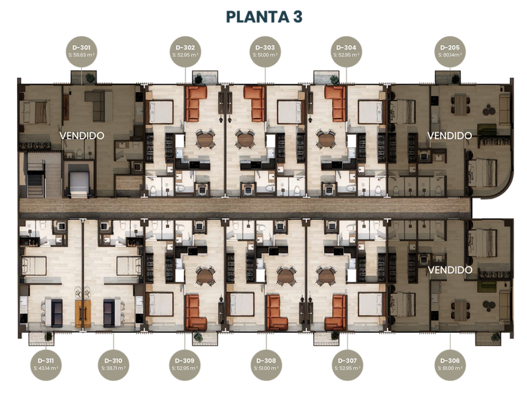 planta-3_